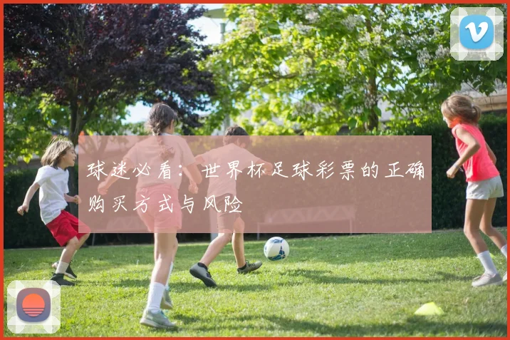 球迷必看：世界杯足球彩票的正确购买方式与风险