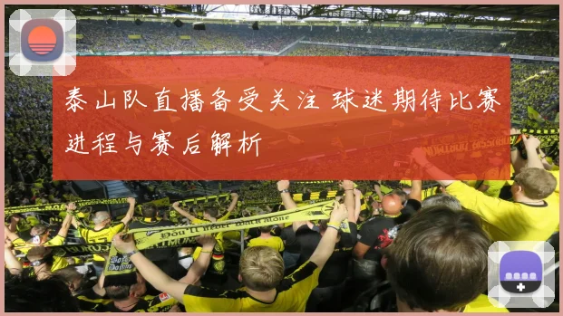 泰山队直播备受关注 球迷期待比赛进程与赛后解析