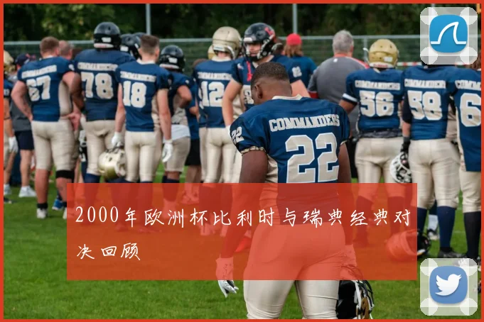 2000年欧洲杯比利时与瑞典经典对决回顾