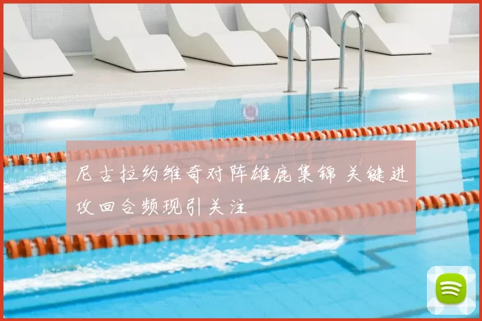 尼古拉约维奇对阵雄鹿集锦 关键进攻回合频现引关注